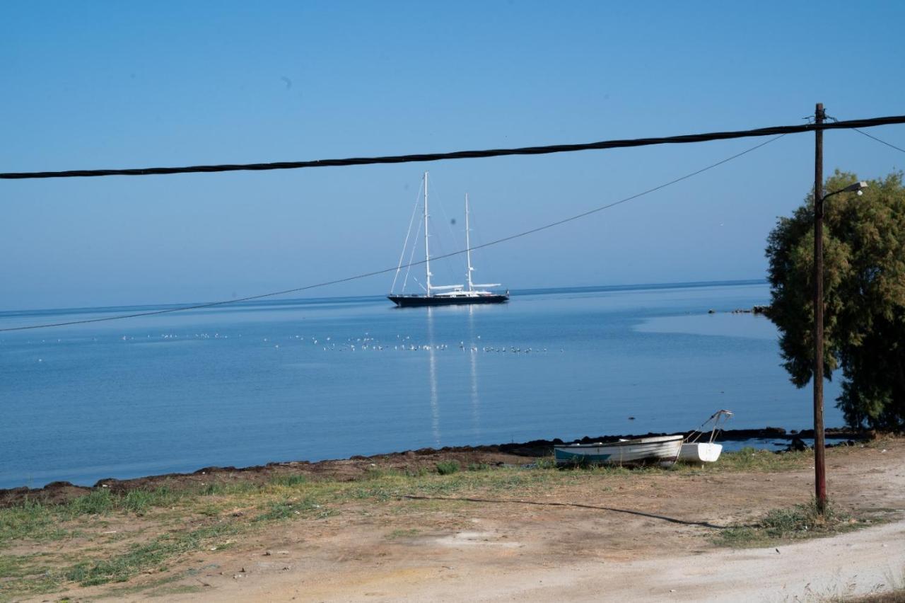Sea & View Villas Kato Achaia Eksteriør billede
